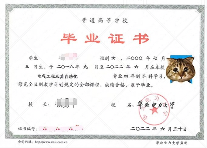 华北电力大学2022年普通全日制本科毕业证书样本图片（电气工程及其自动化）